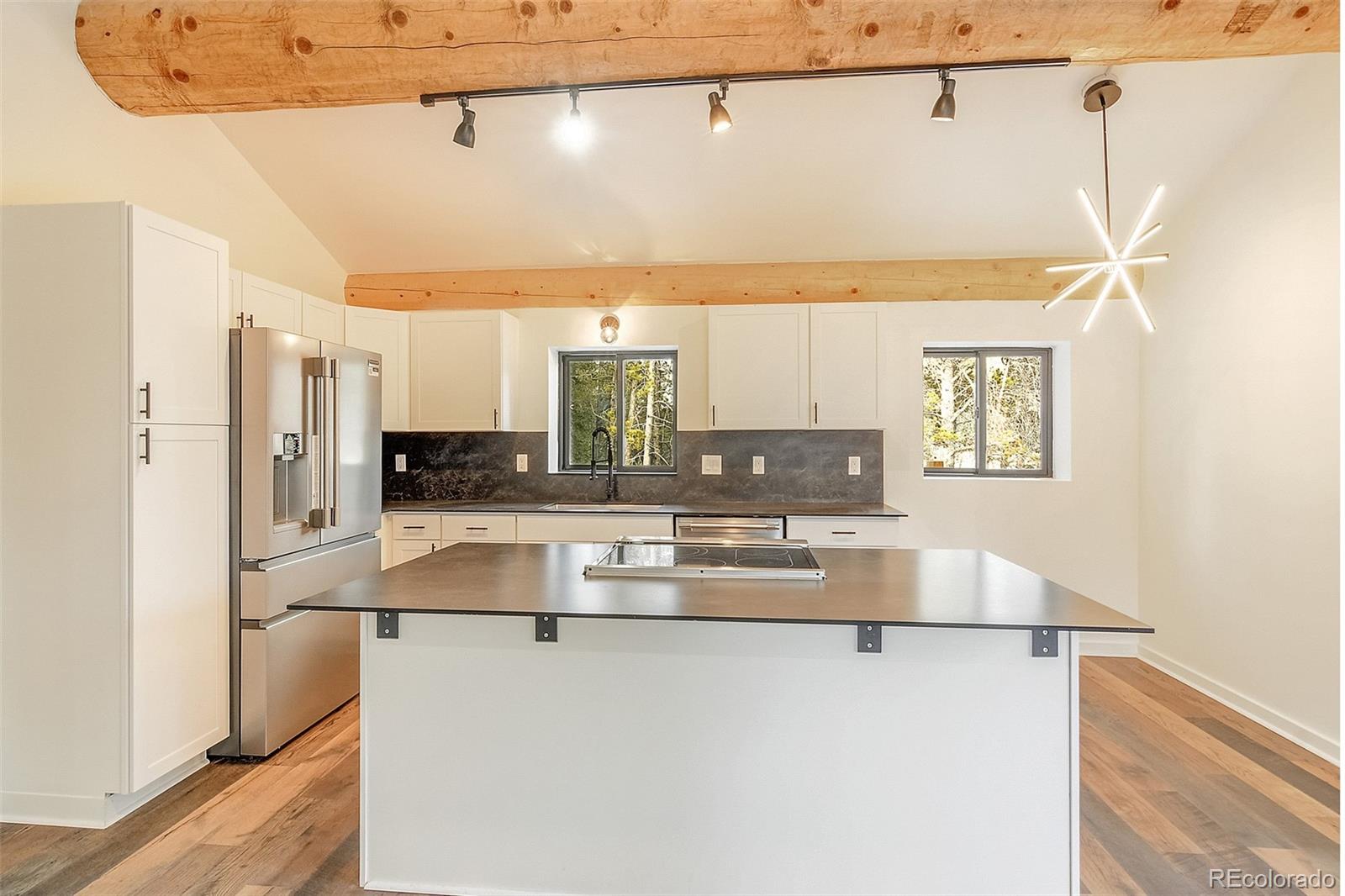 MLS Image #4 for 148  aspen street,alma, Colorado