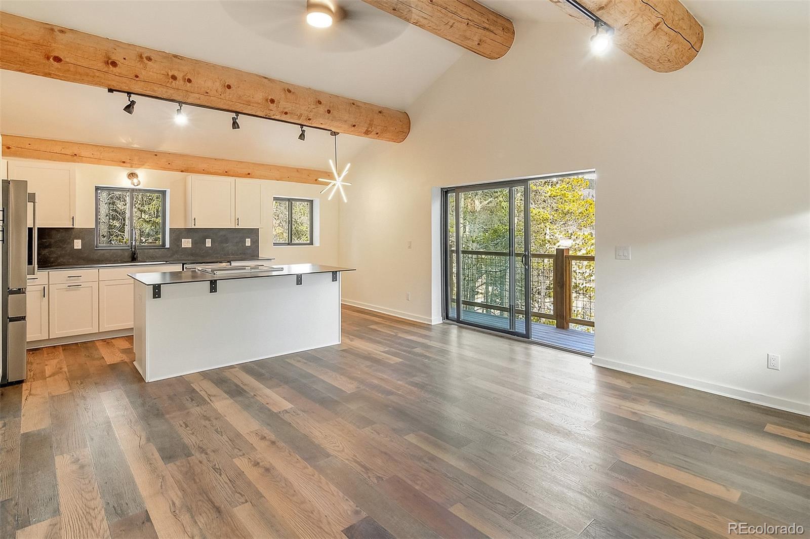 MLS Image #6 for 148  aspen street,alma, Colorado