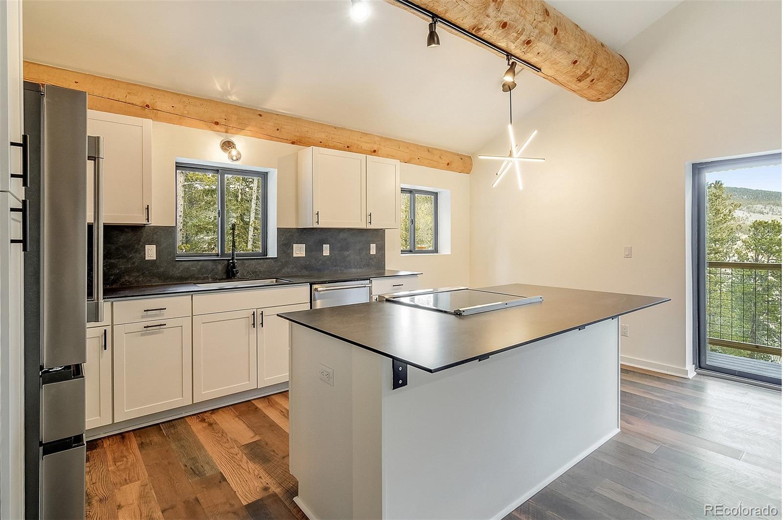 MLS Image #7 for 148  aspen street,alma, Colorado