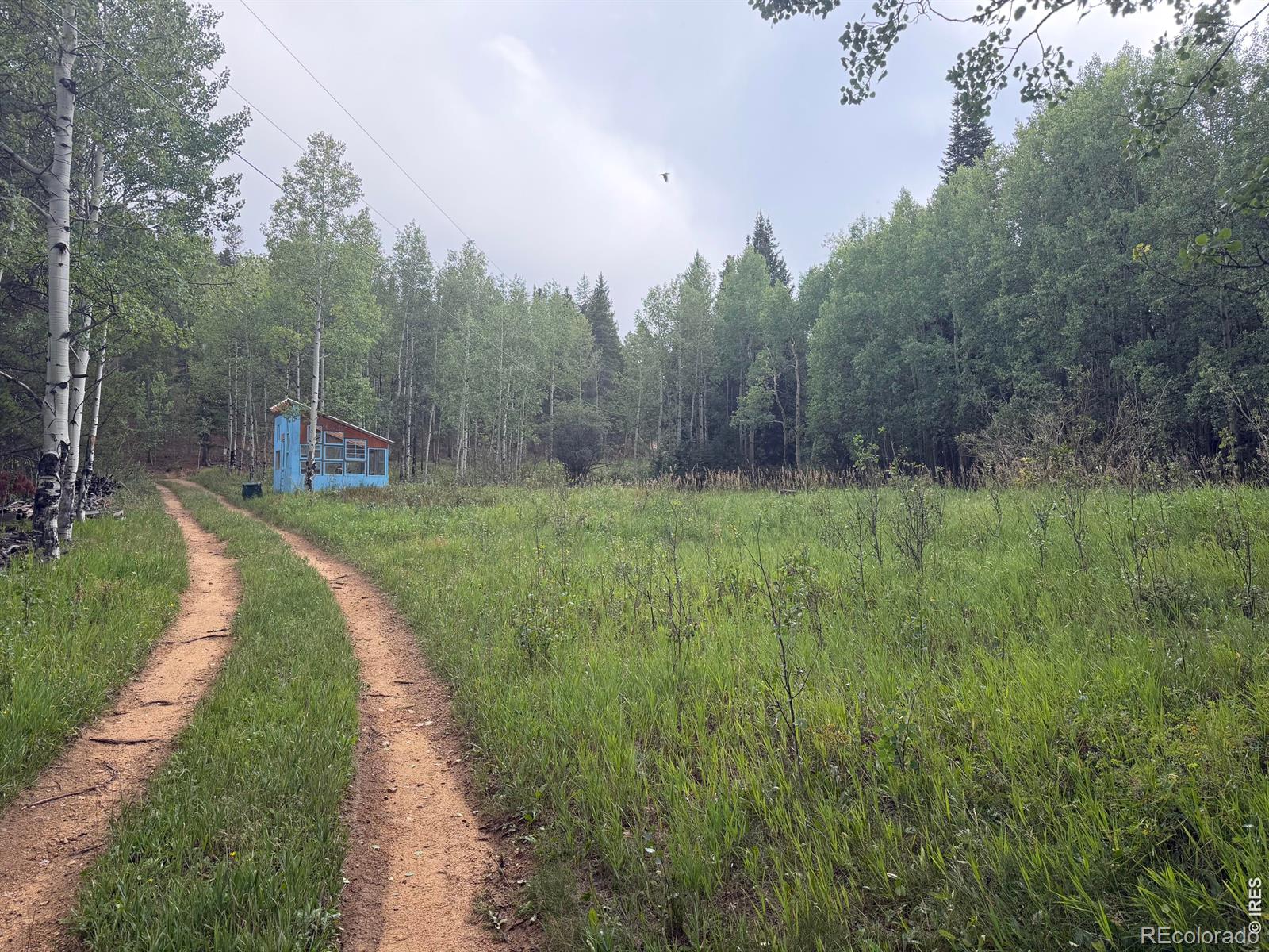MLS Image #29 for 21  breezewood lane,black hawk, Colorado