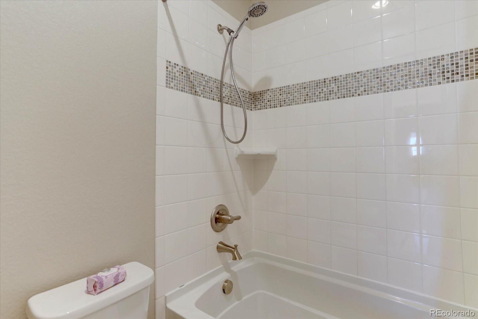 MLS Image #32 for 13956  blue wing lane,parker, Colorado