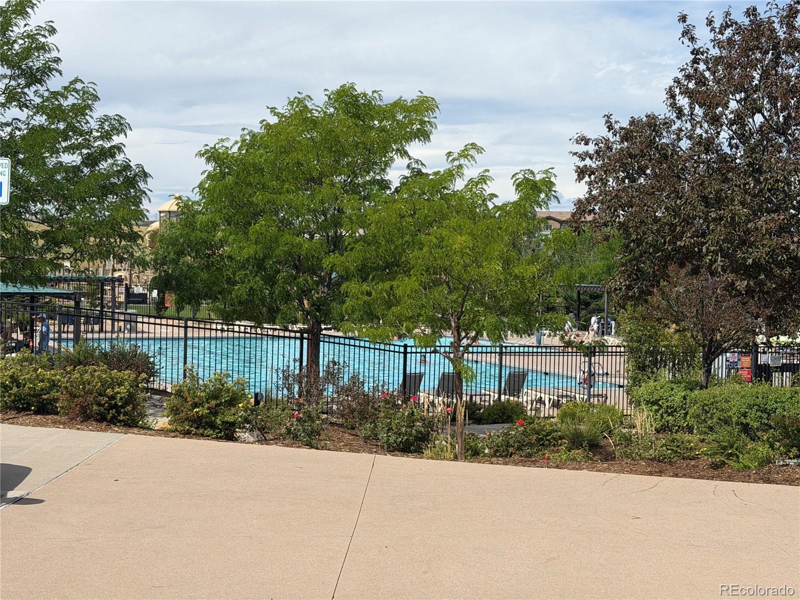 MLS Image #41 for 13956  blue wing lane,parker, Colorado