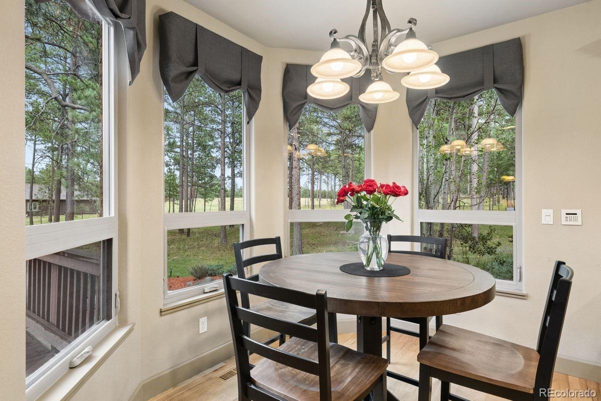 MLS Image #15 for 14953  snowy pine point,colorado springs, Colorado