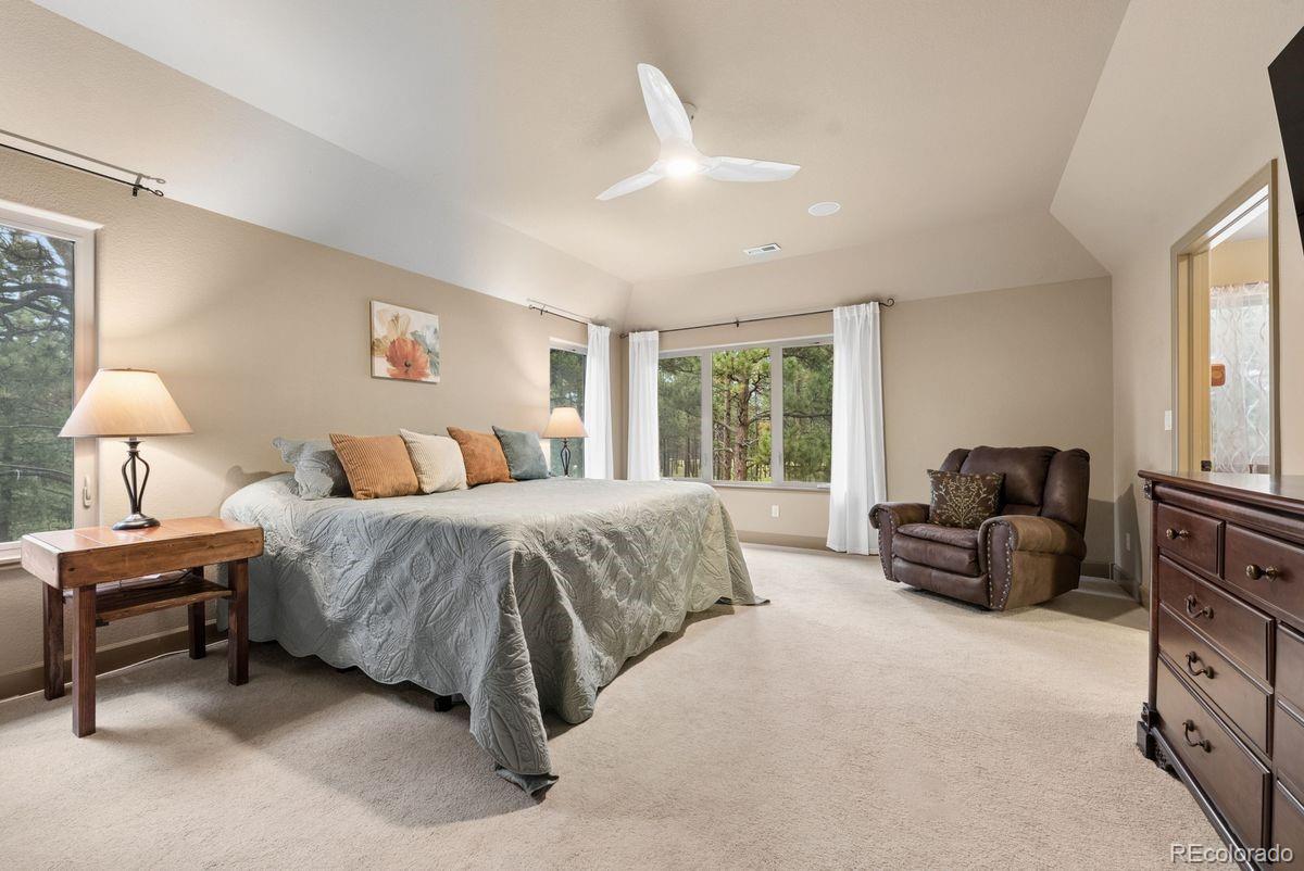 MLS Image #22 for 14953  snowy pine point,colorado springs, Colorado