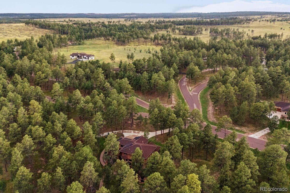 MLS Image #41 for 14953  snowy pine point,colorado springs, Colorado