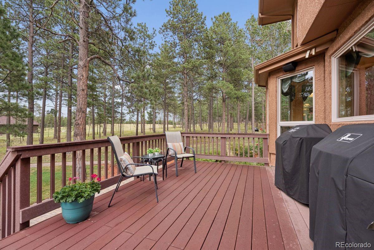 MLS Image #8 for 14953  snowy pine point,colorado springs, Colorado
