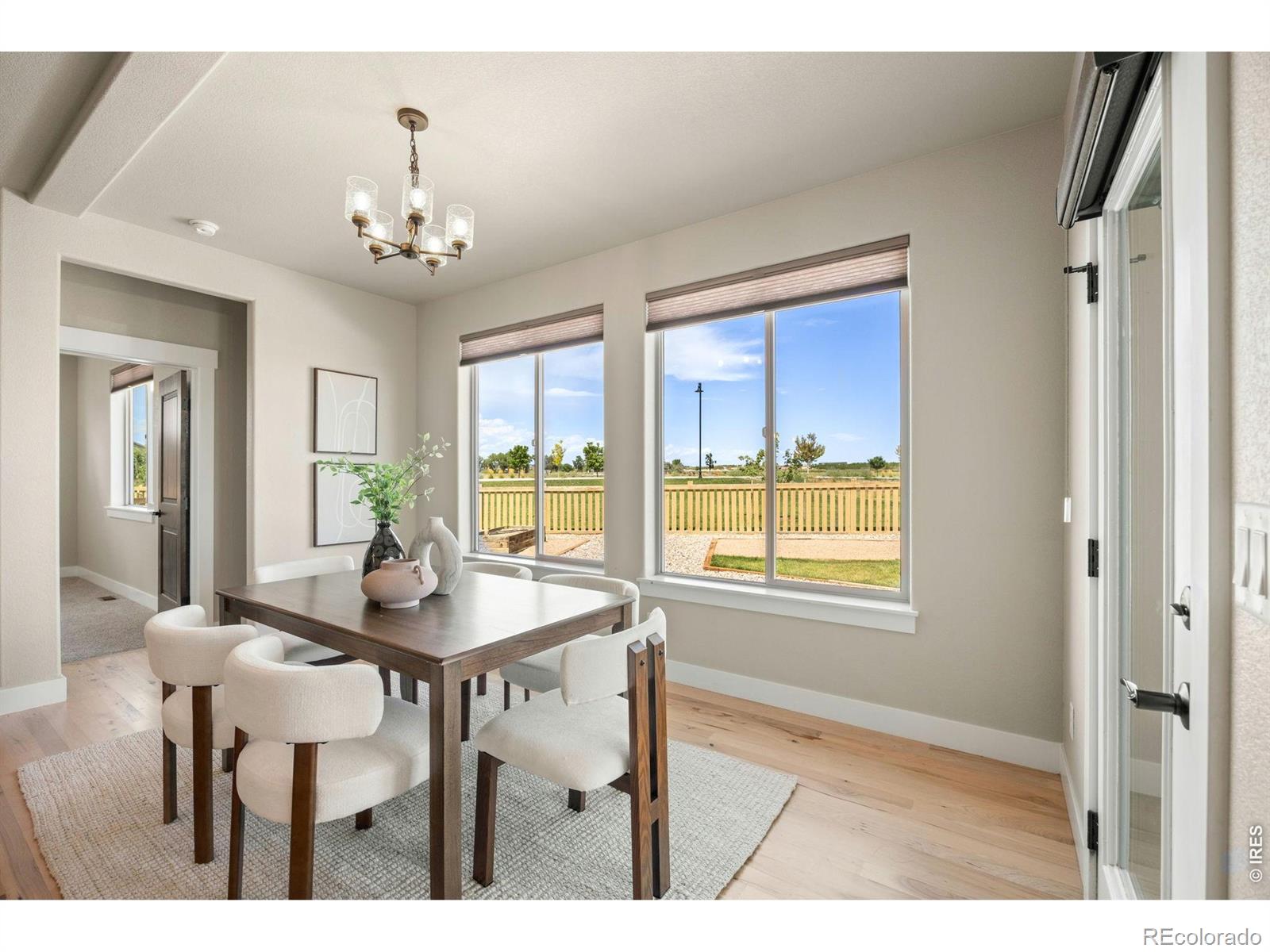 MLS Image #12 for 7166  cottage court,timnath, Colorado