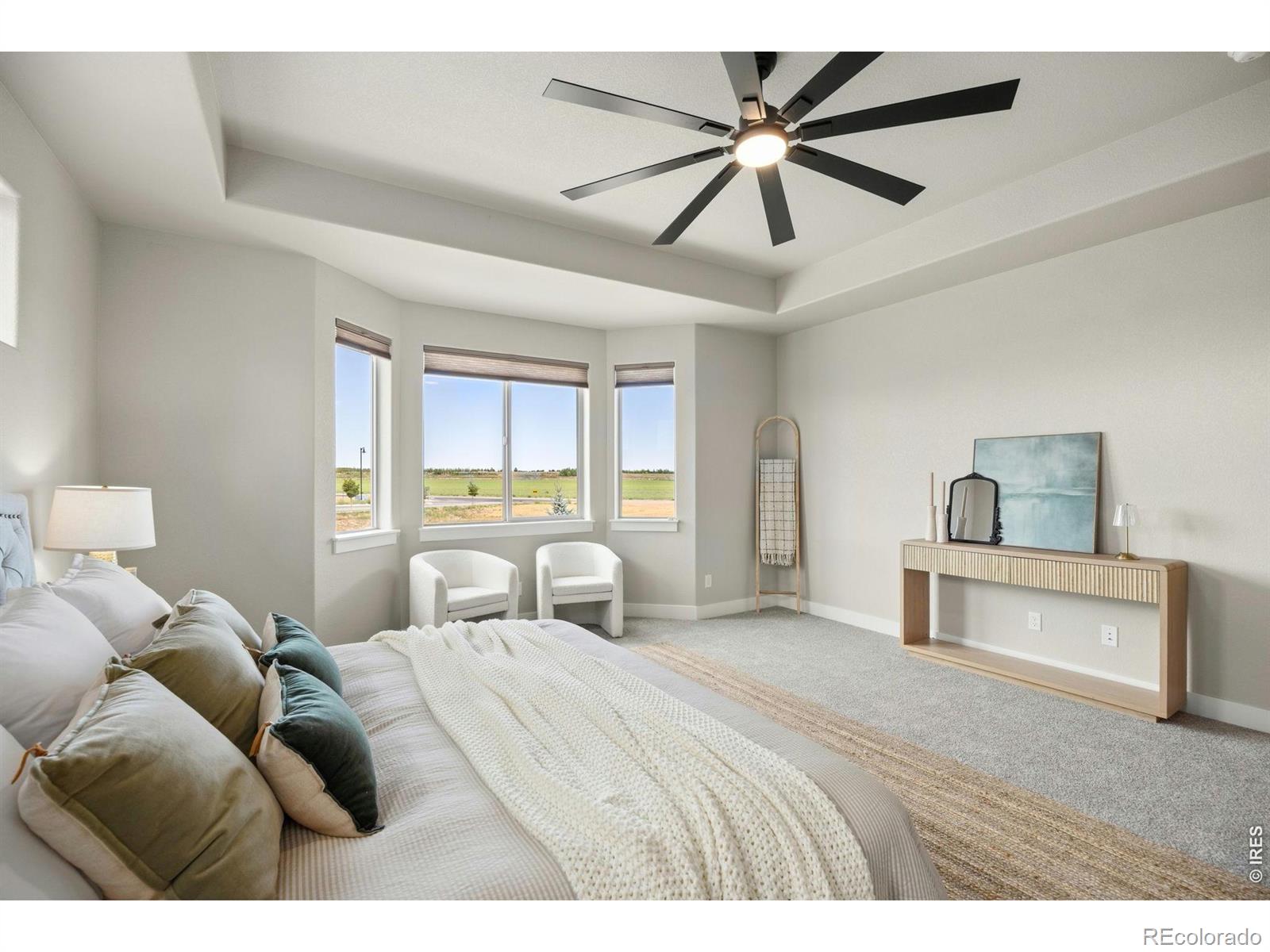 MLS Image #19 for 7166  cottage court,timnath, Colorado