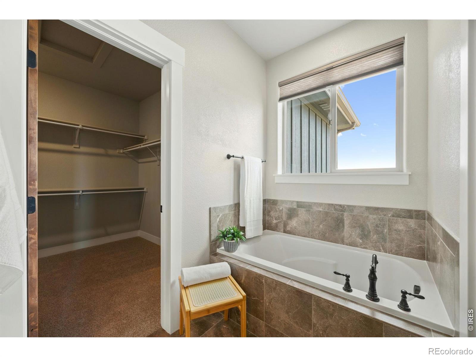 MLS Image #21 for 7166  cottage court,timnath, Colorado
