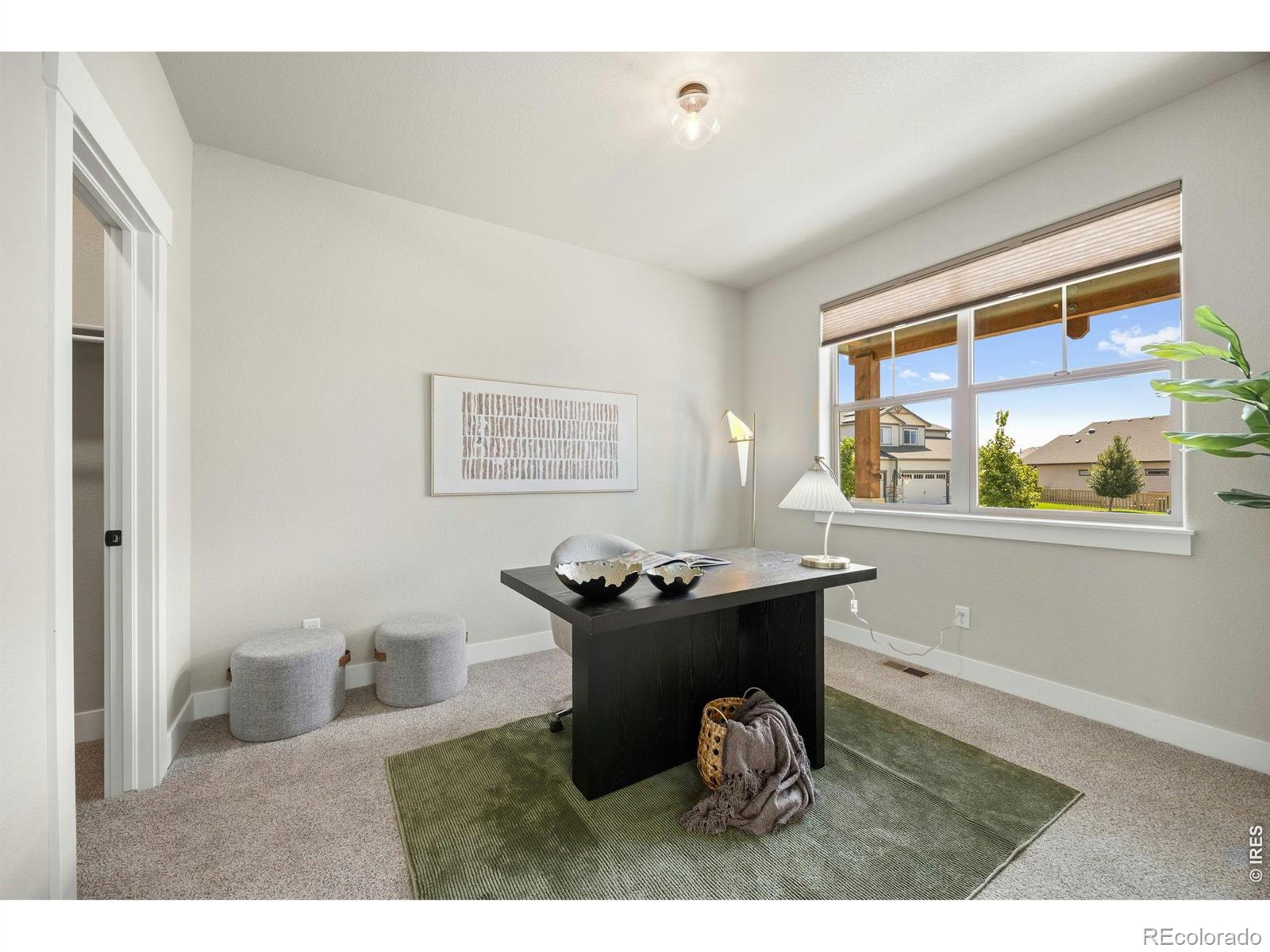 MLS Image #3 for 7166  cottage court,timnath, Colorado