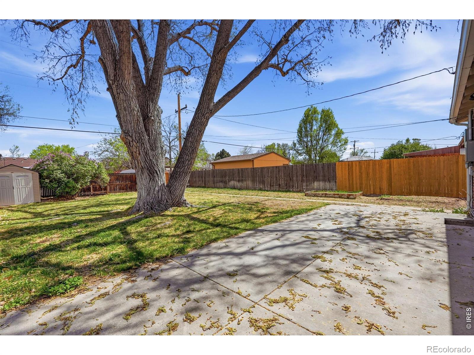 MLS Image #29 for 3564  magnolia street,denver, Colorado