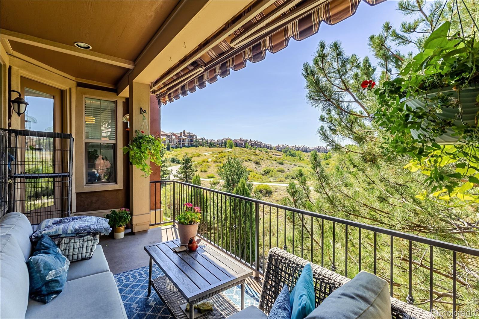 MLS Image #13 for 9108  viaggio way ,highlands ranch, Colorado