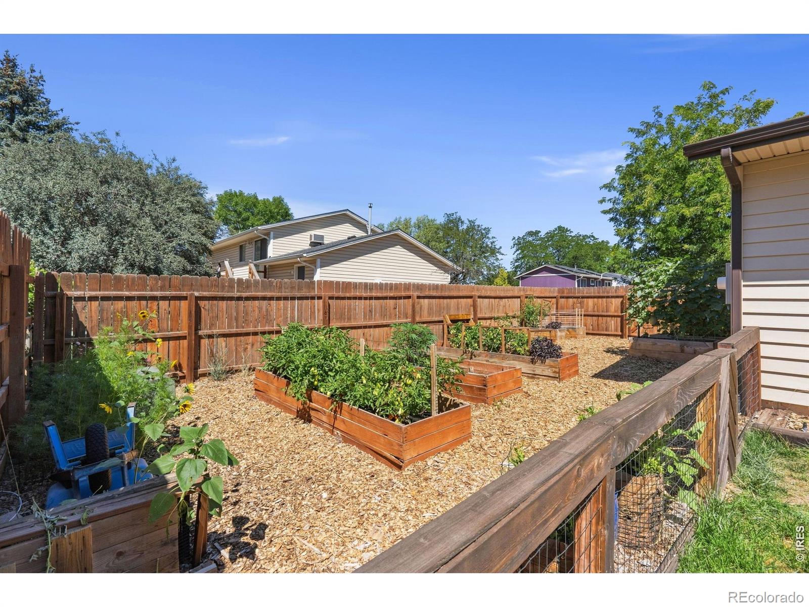 MLS Image #26 for 3738  tyler avenue,wellington, Colorado
