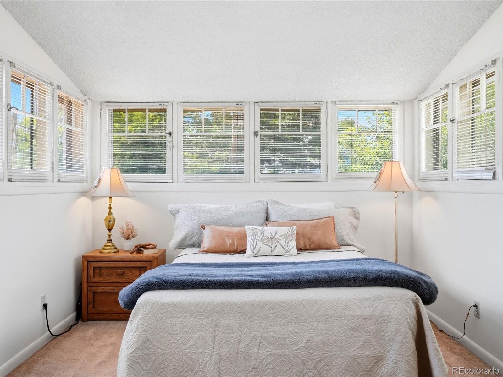 MLS Image #17 for 281 s emerson street,denver, Colorado