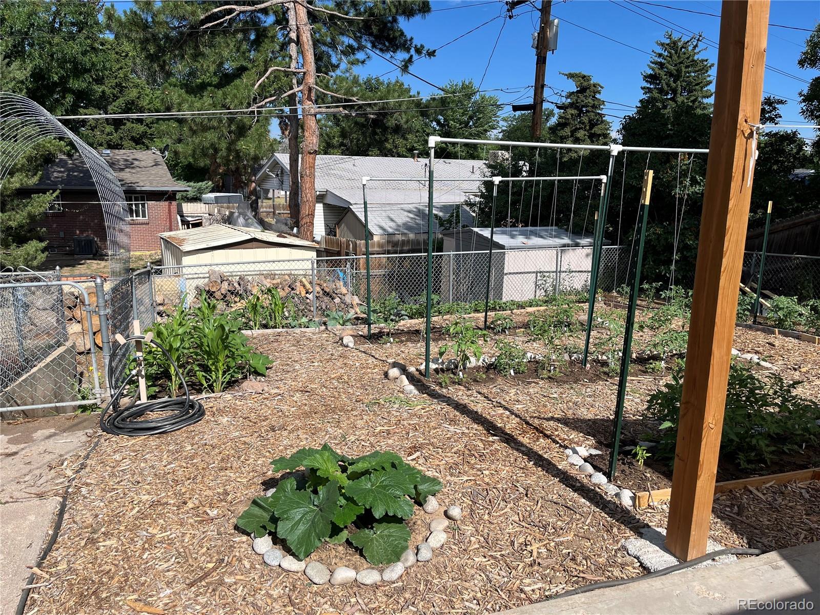 MLS Image #32 for 857  iola street,aurora, Colorado