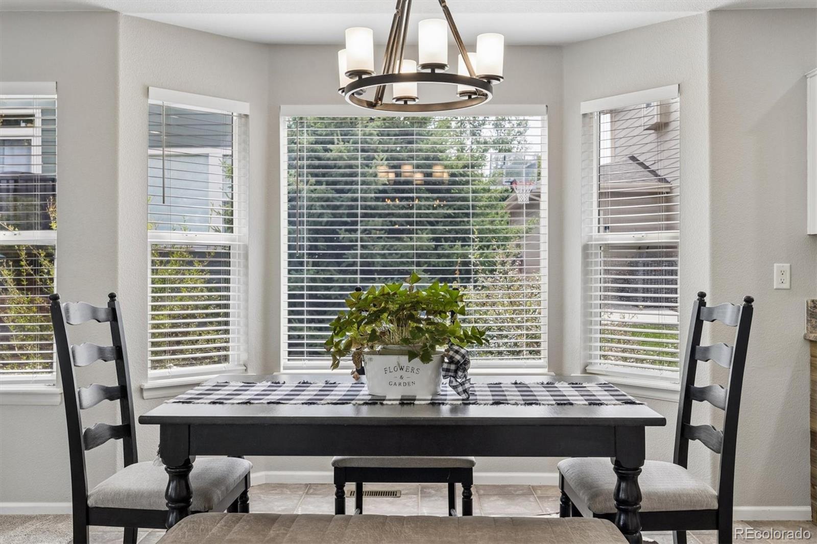 MLS Image #10 for 7740  crystal lake court,littleton, Colorado