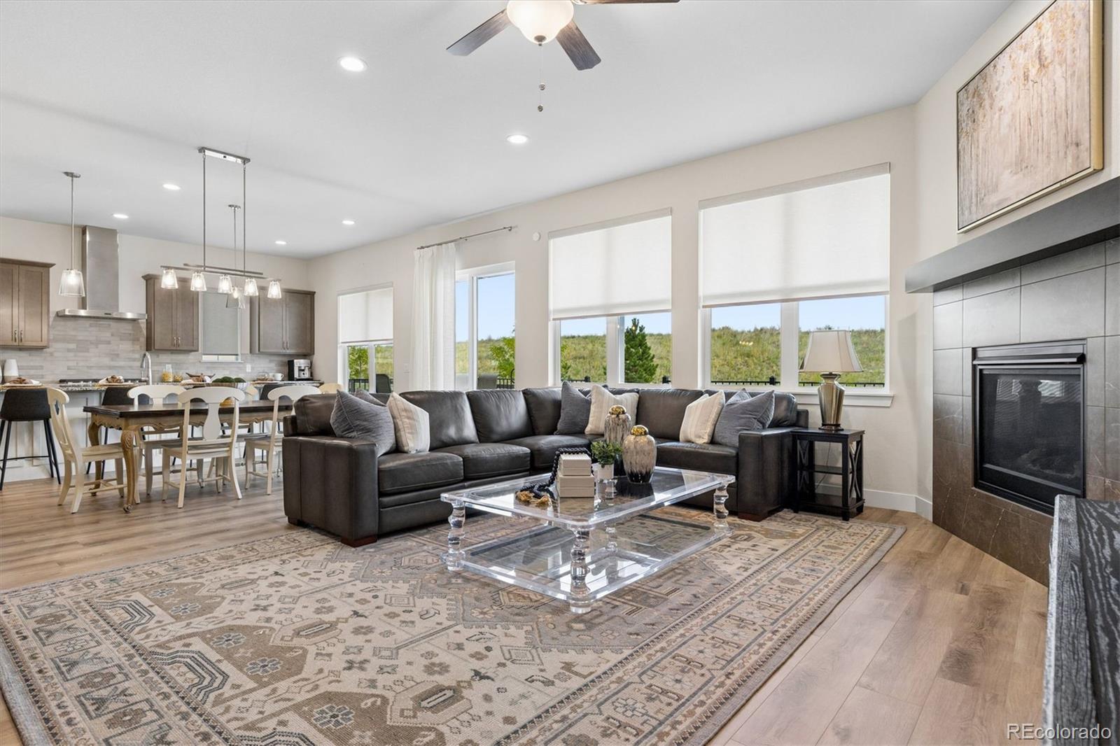 MLS Image #4 for 9026 s shawnee court,aurora, Colorado