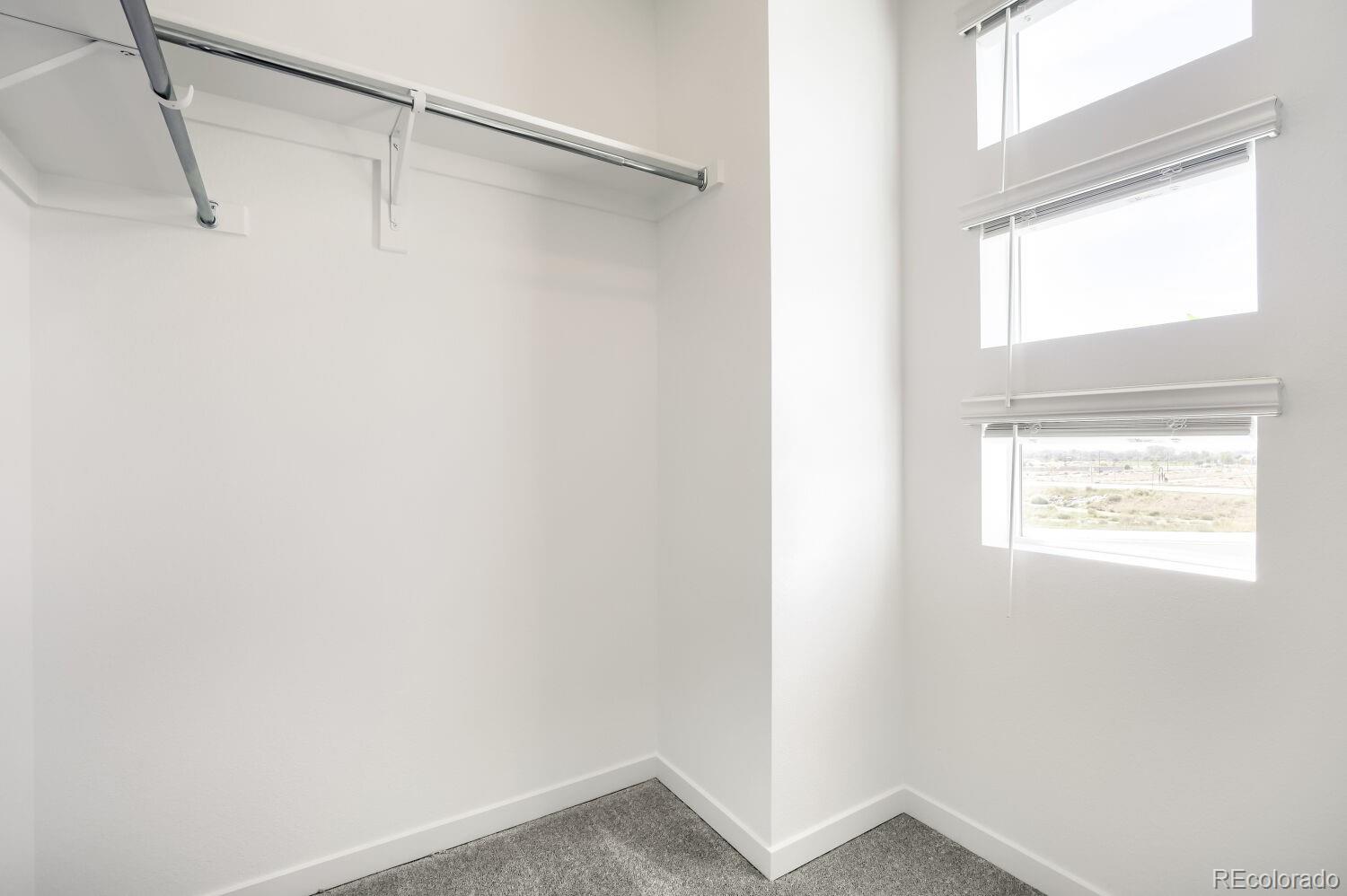 MLS Image #11 for 3031  gladstone avenue,loveland, Colorado