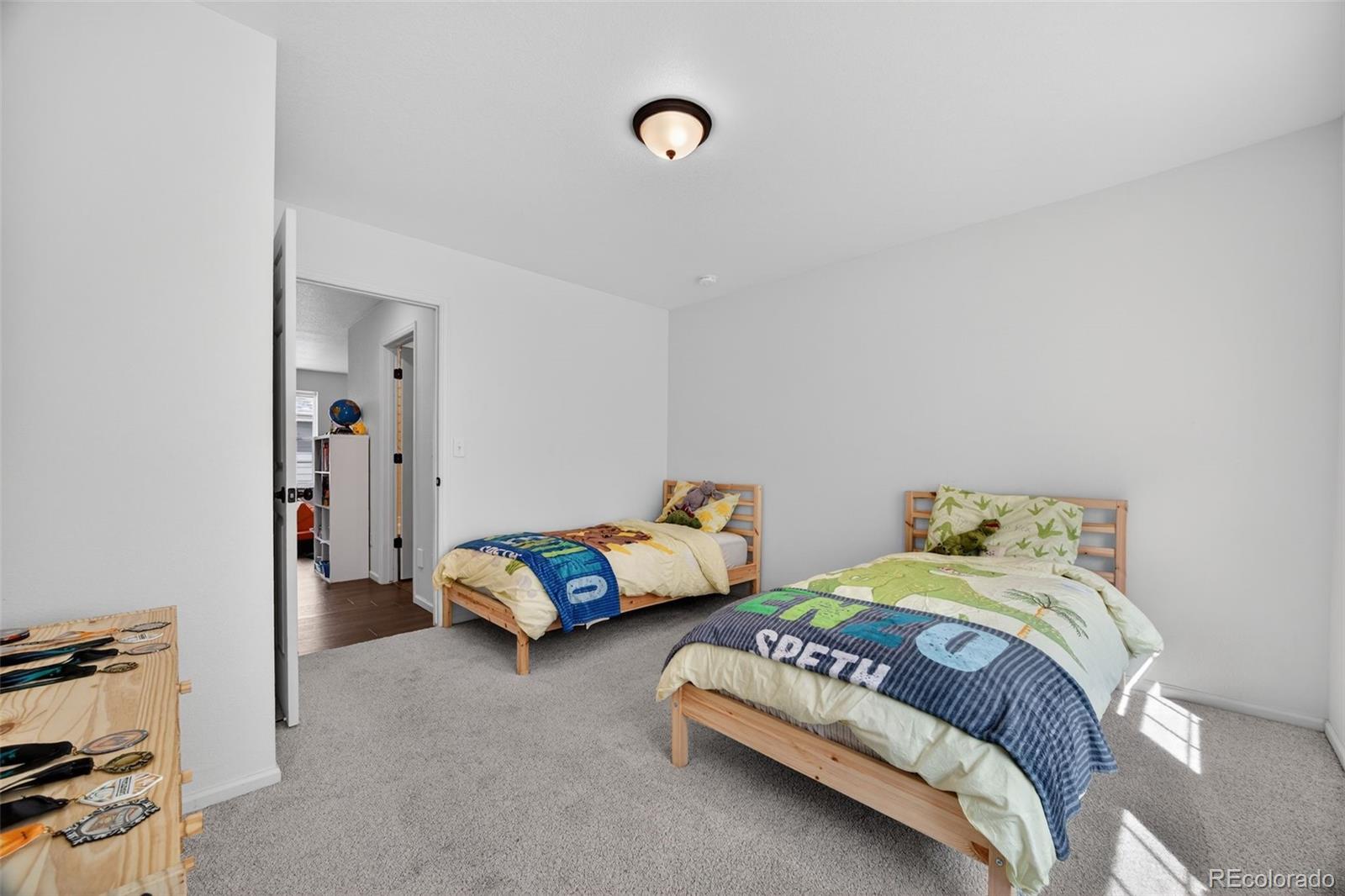 MLS Image #19 for 1077  magnolia street,erie, Colorado