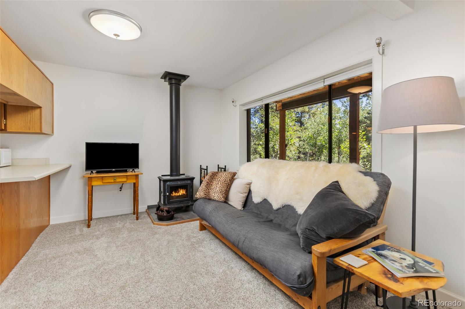 MLS Image #28 for 415  upper travis gulch road,black hawk, Colorado