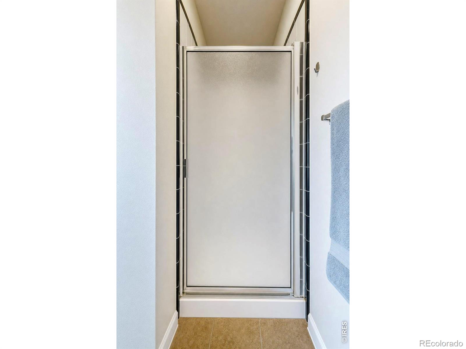 MLS Image #30 for 1506  front nine drive,fort collins, Colorado