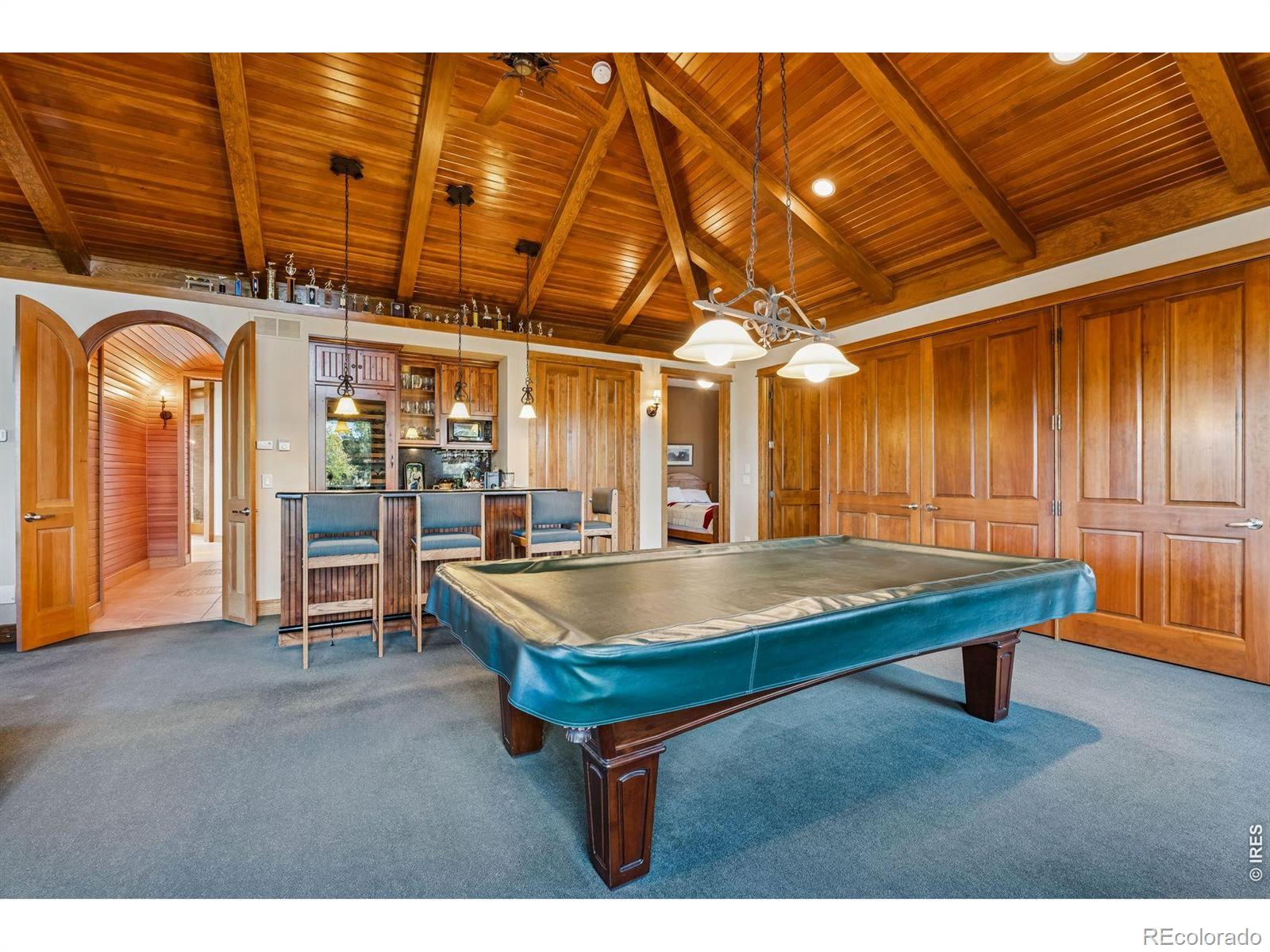 MLS Image #22 for 105  elk trail,red feather lakes, Colorado