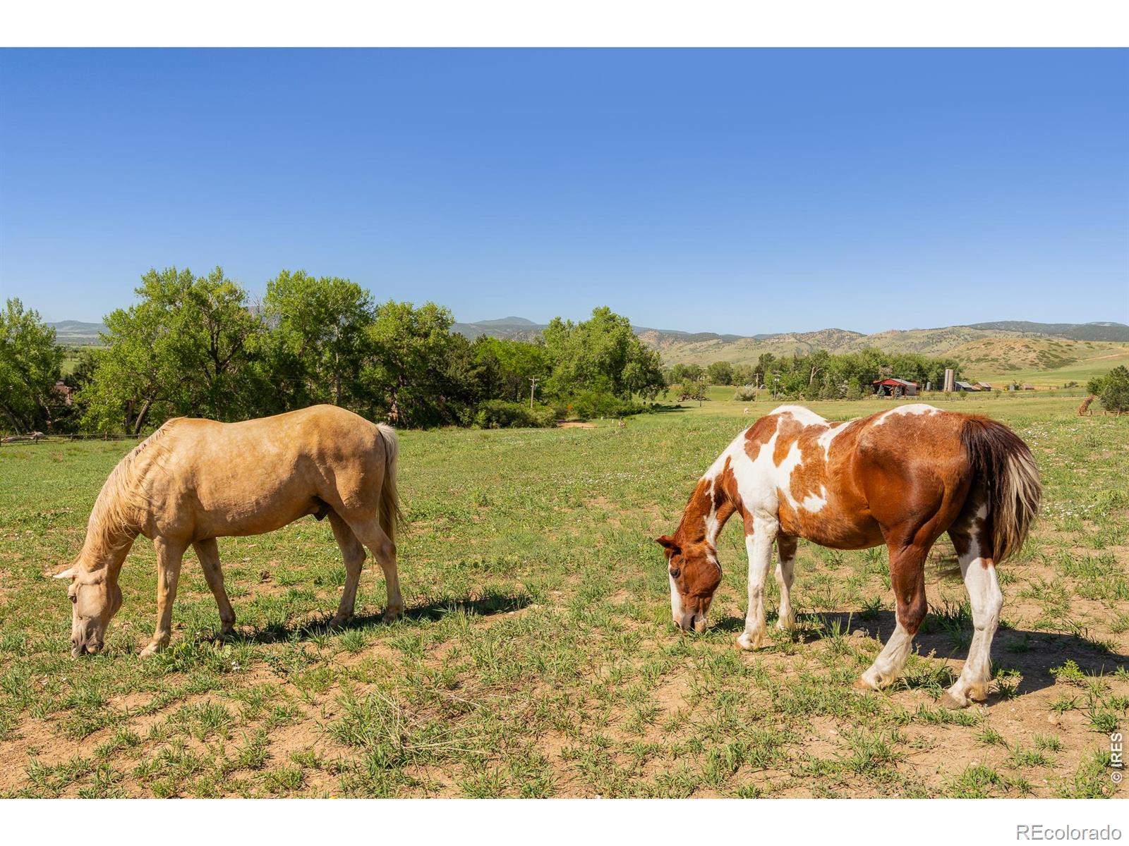 MLS Image #48 for 8331  ouray drive,longmont, Colorado
