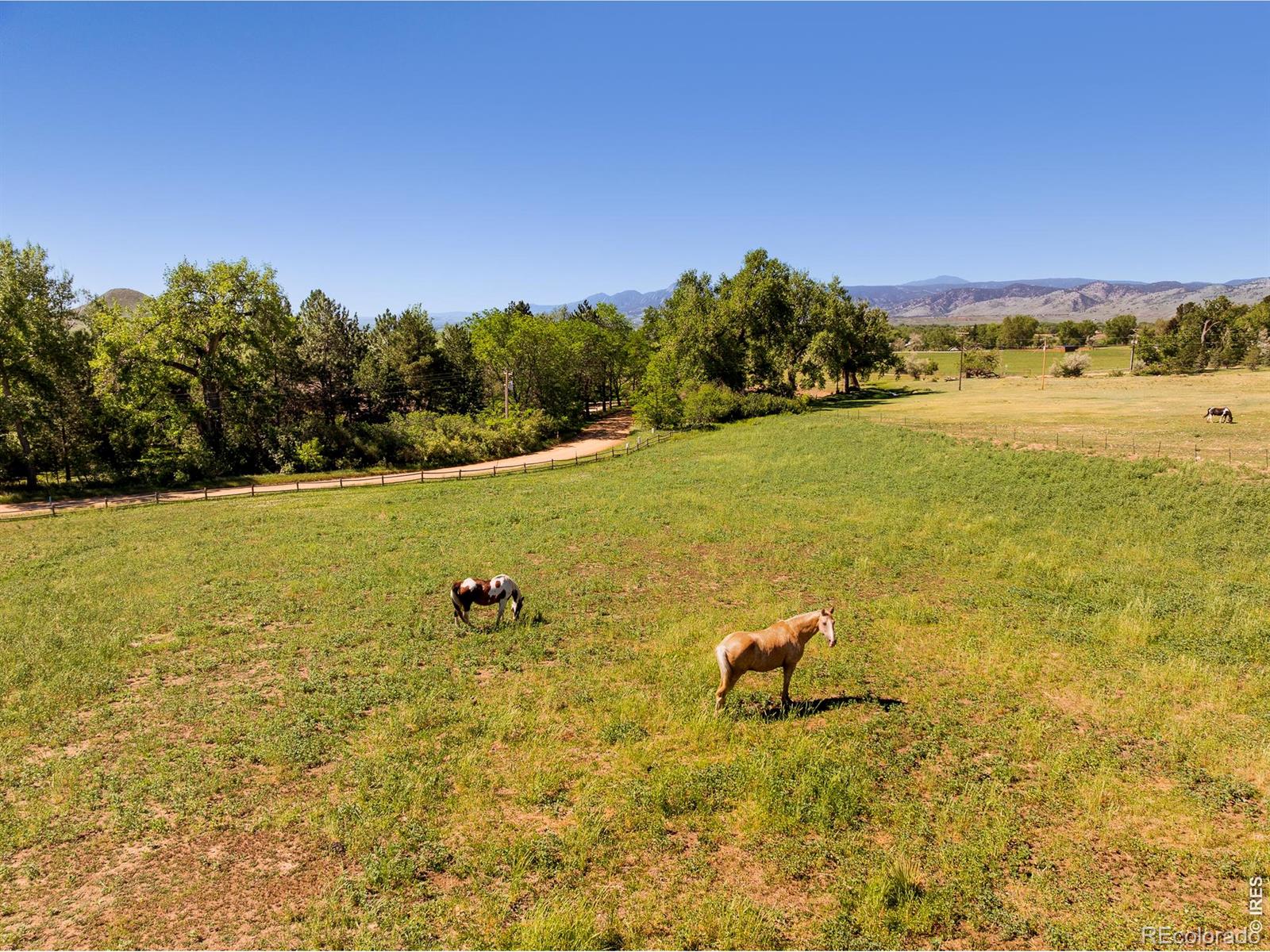 MLS Image #49 for 8331  ouray drive,longmont, Colorado