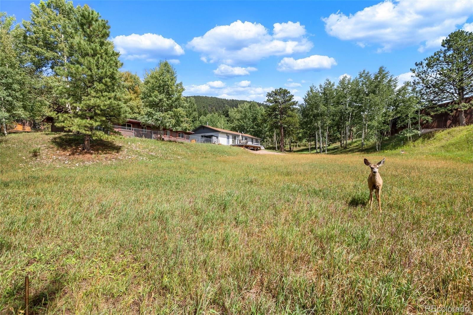 MLS Image #1 for 1035  park view ,woodland park, Colorado