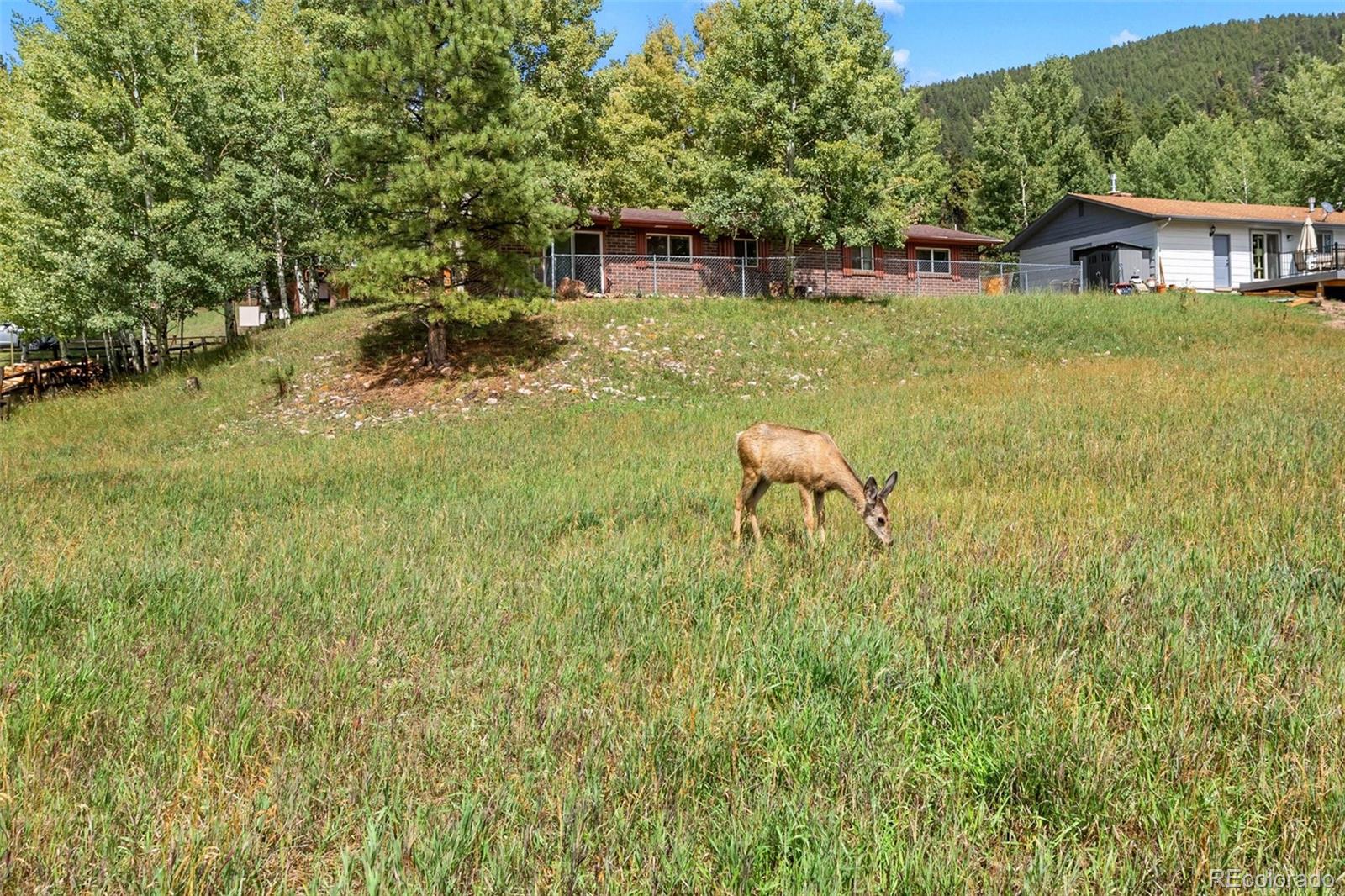MLS Image #2 for 1035  park view ,woodland park, Colorado