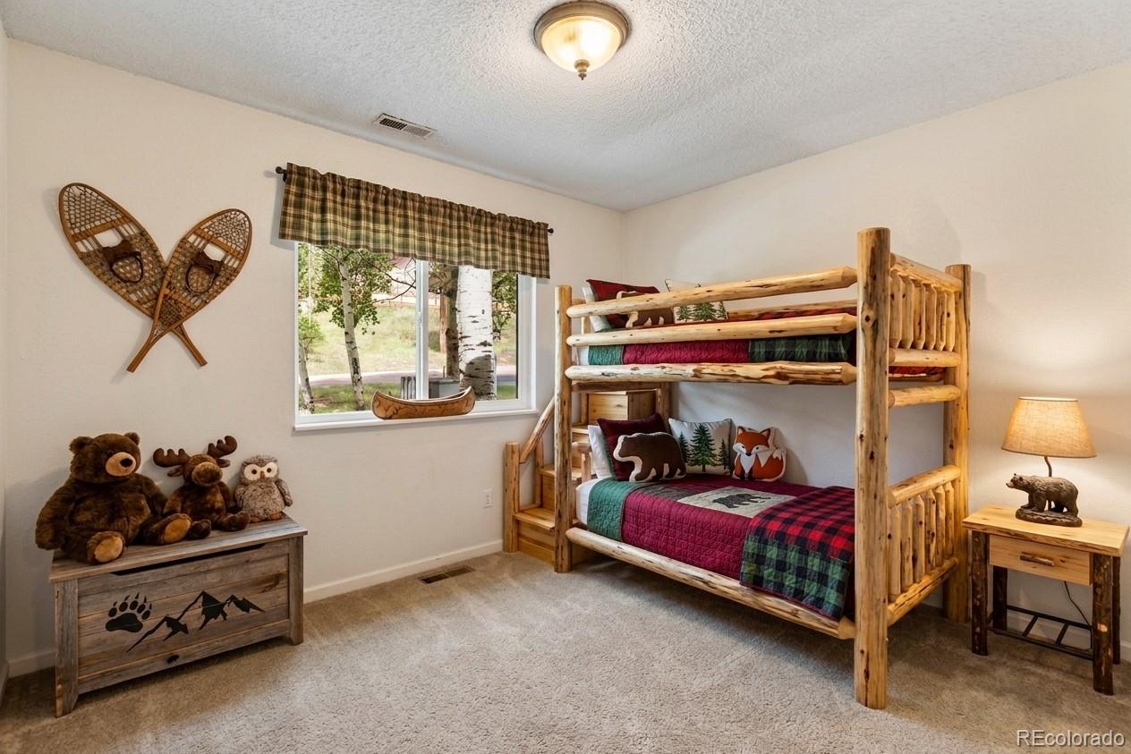 MLS Image #20 for 1035  park view ,woodland park, Colorado