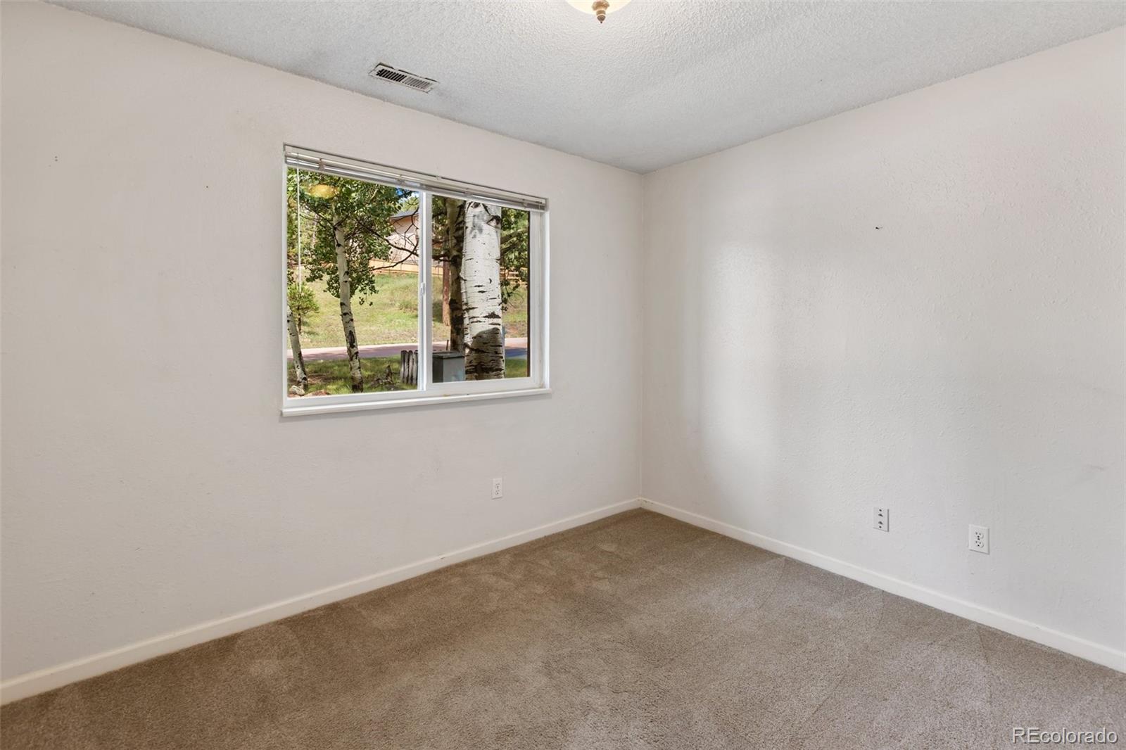 MLS Image #21 for 1035  park view ,woodland park, Colorado