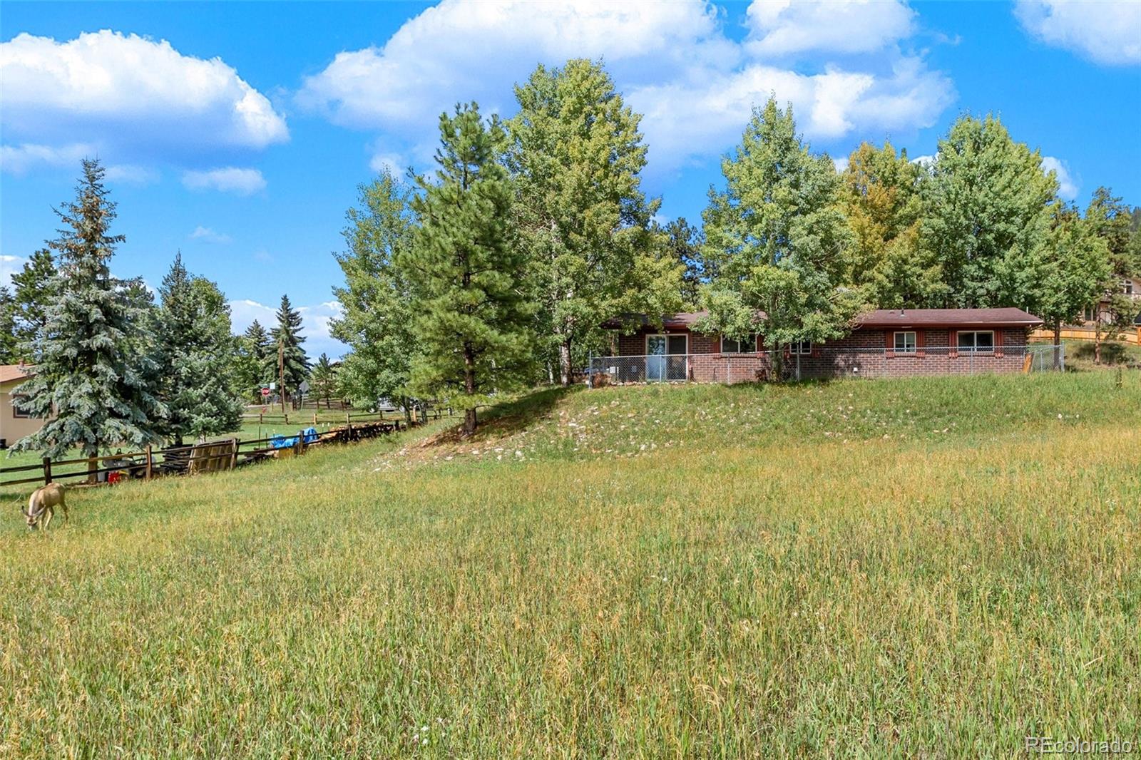MLS Image #24 for 1035  park view ,woodland park, Colorado