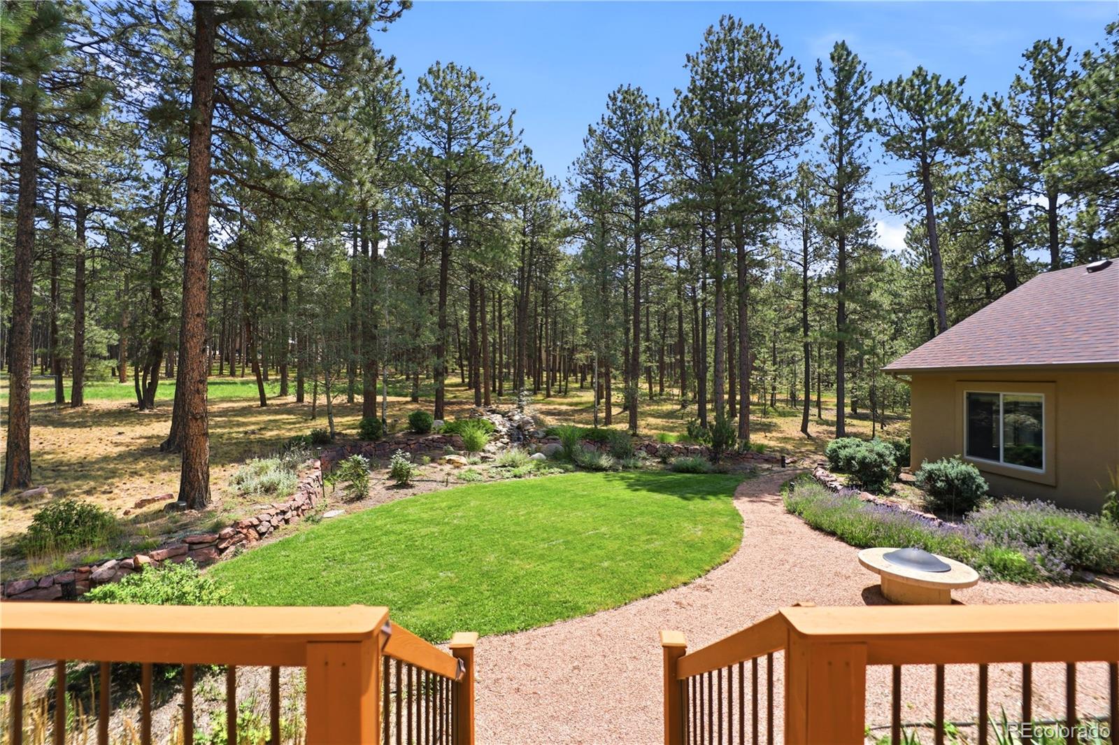 MLS Image #6 for 18825  pagentry place,monument, Colorado