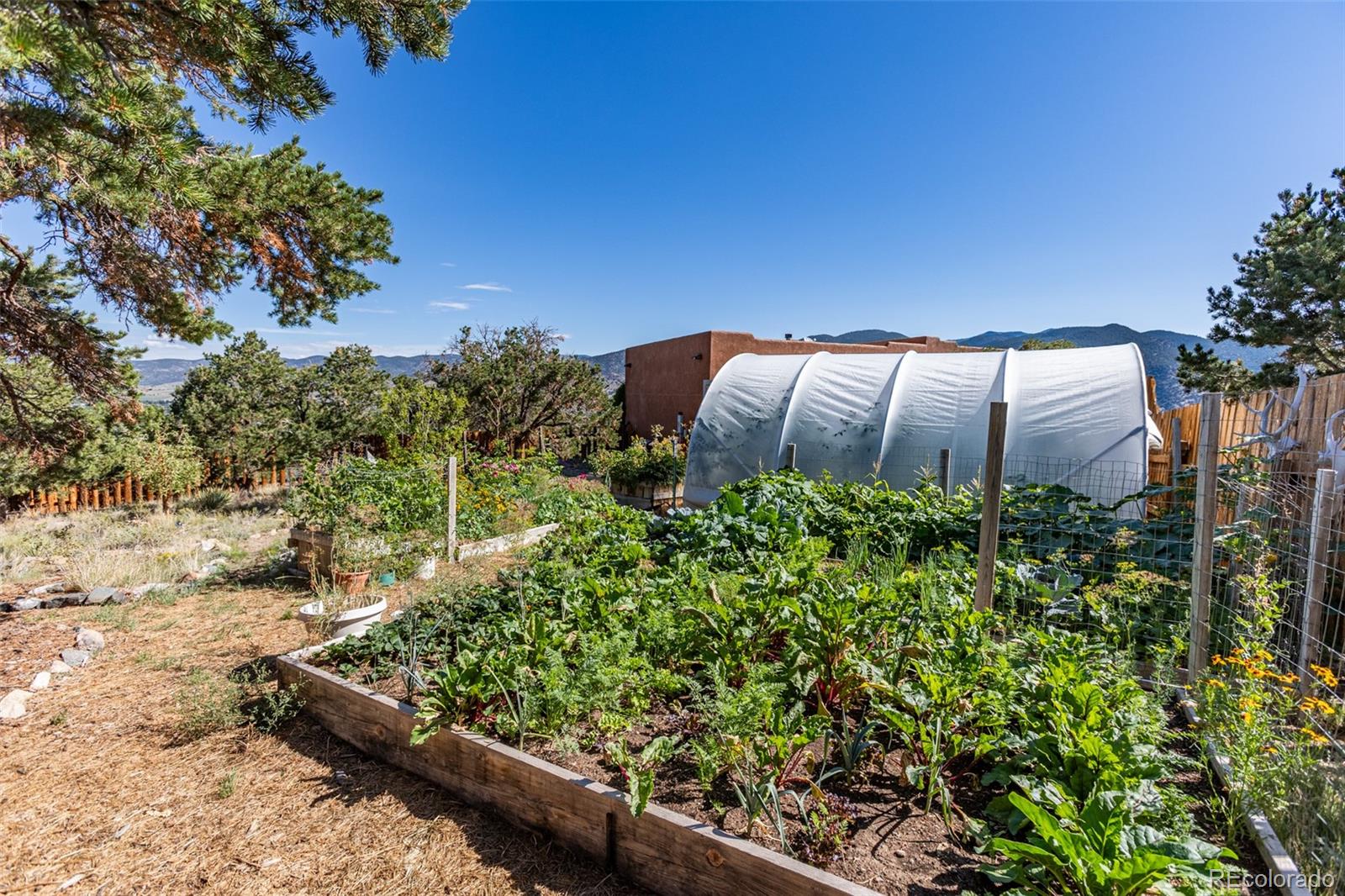 MLS Image #41 for 6396  terrace lane,salida, Colorado