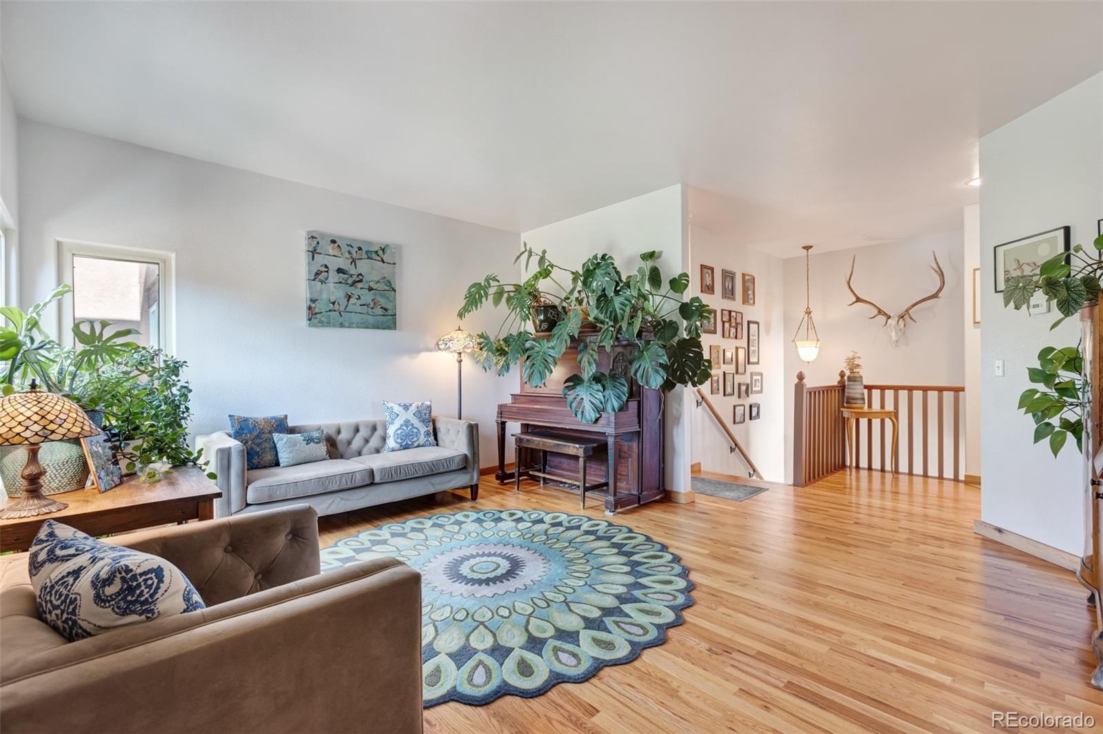 MLS Image #6 for 6396  terrace lane,salida, Colorado