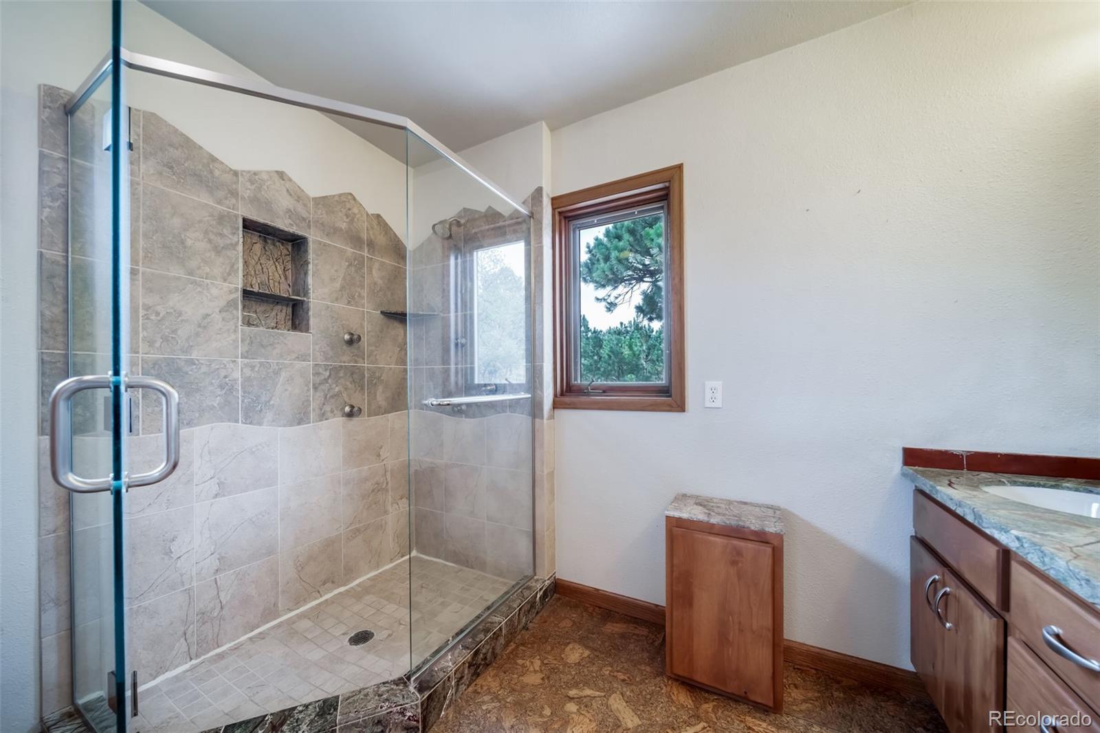 MLS Image #22 for 1191  tenderfoot drive,larkspur, Colorado