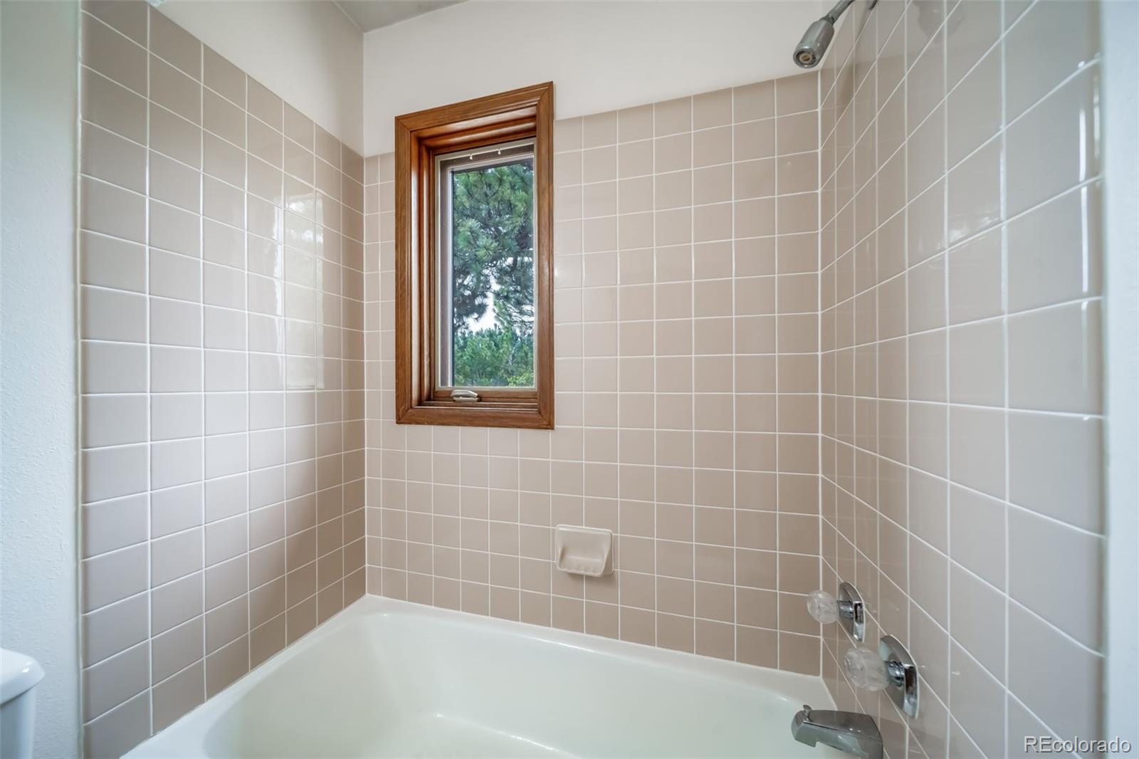 MLS Image #28 for 1191  tenderfoot drive,larkspur, Colorado