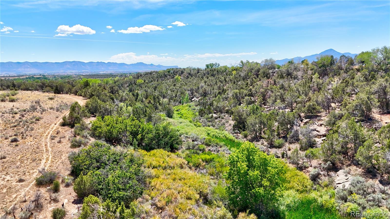 MLS Image #49 for 16056  road 25 ,dolores, Colorado