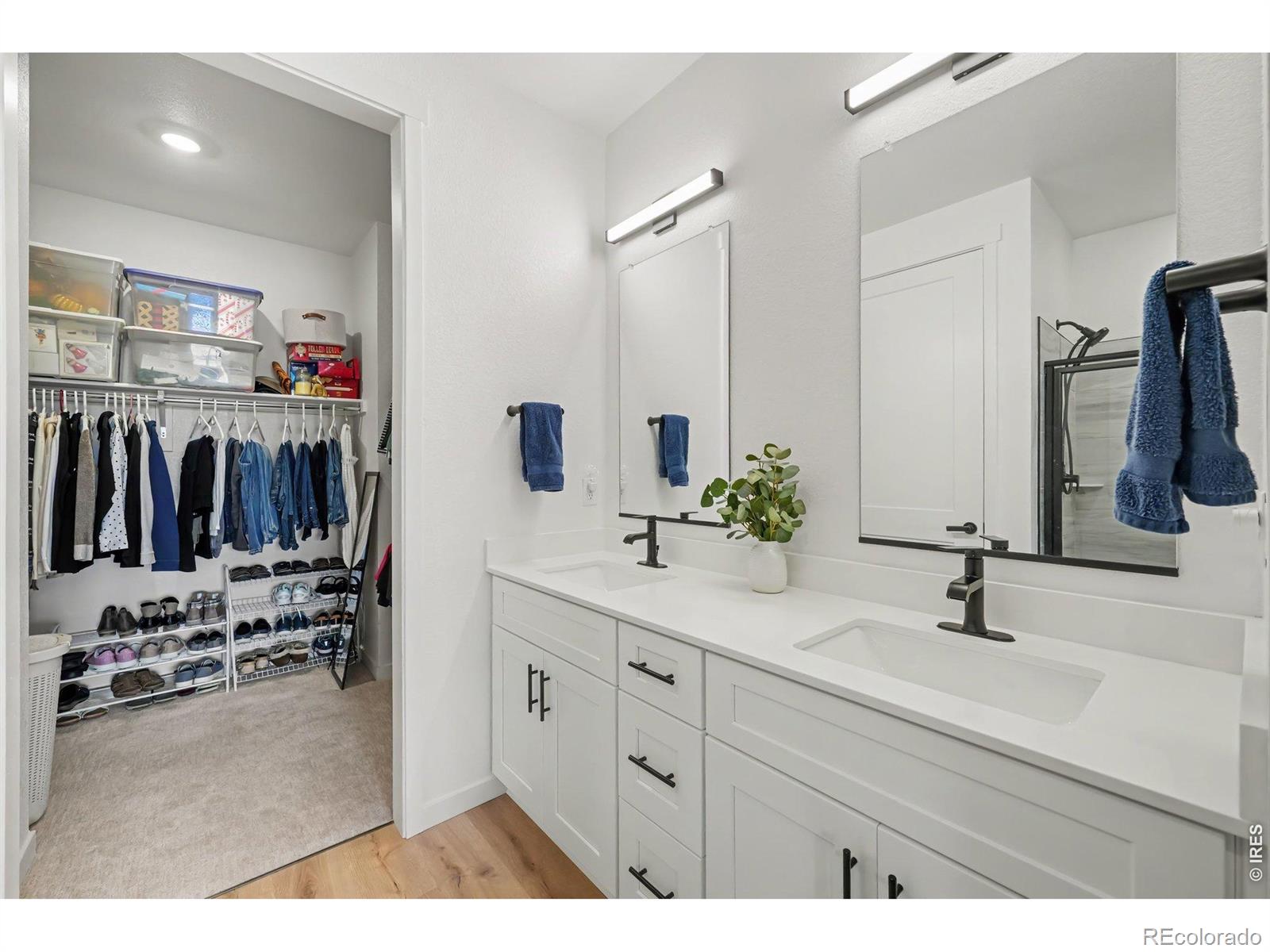 MLS Image #13 for 1431  mullers drive,windsor, Colorado