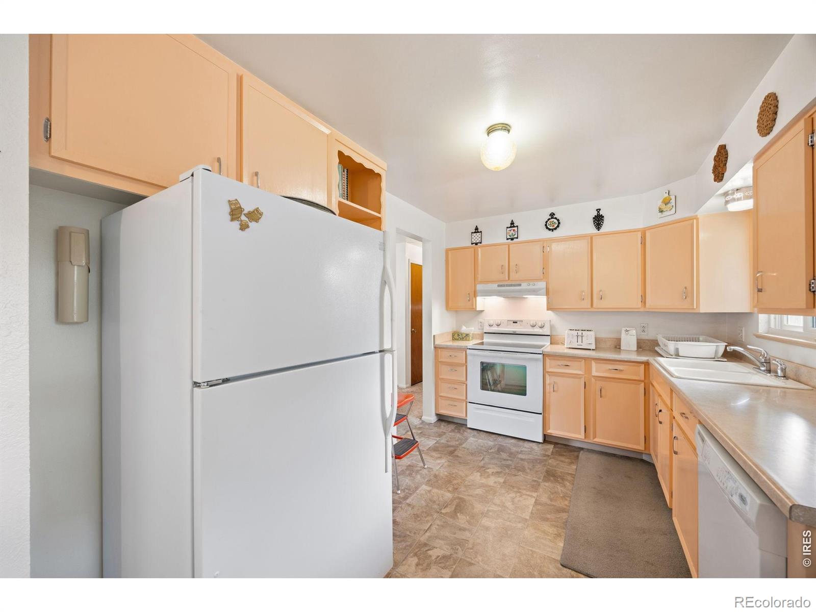 MLS Image #5 for 2509  stanford road,fort collins, Colorado