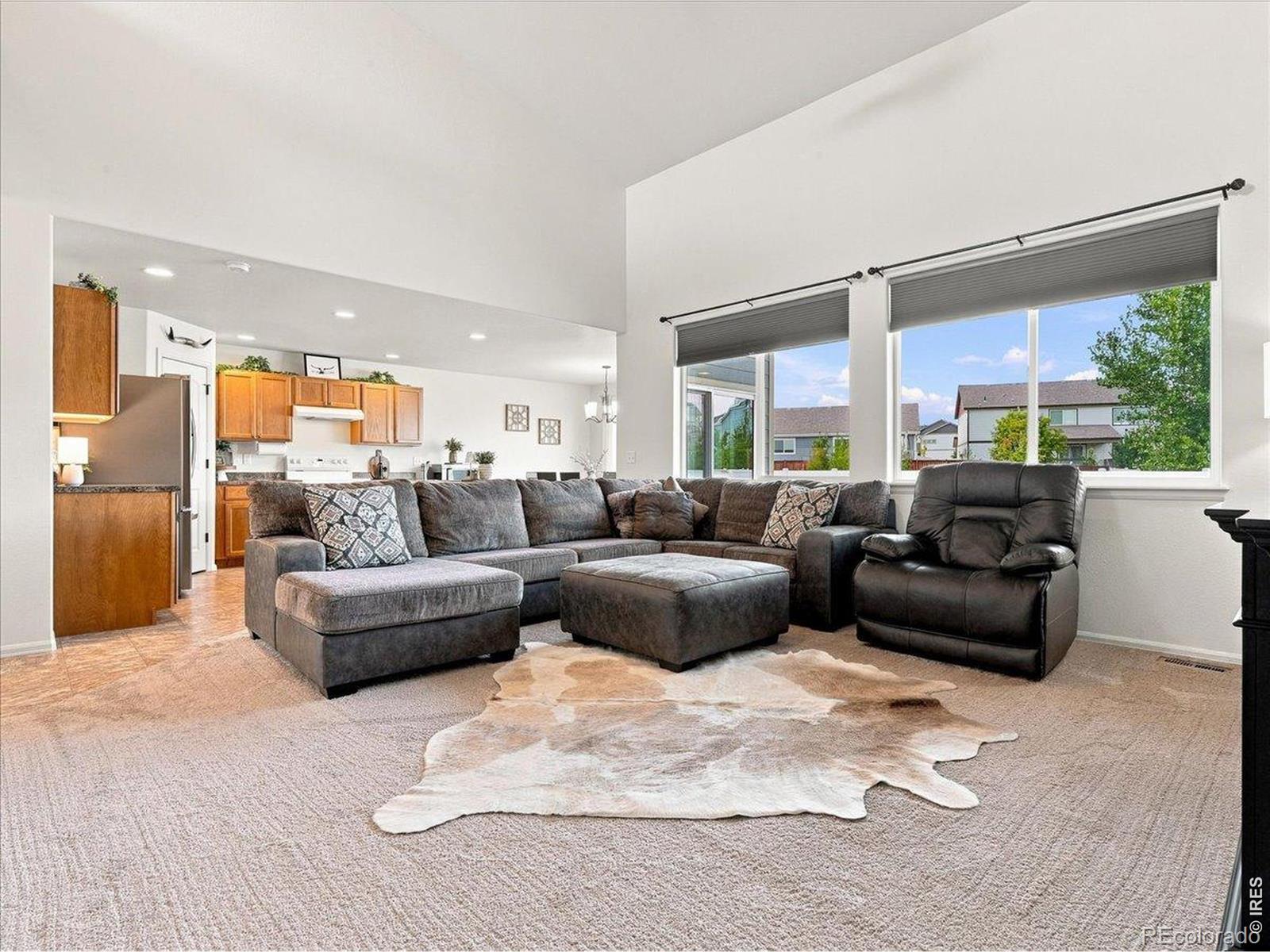 MLS Image #15 for 246  castle drive,severance, Colorado