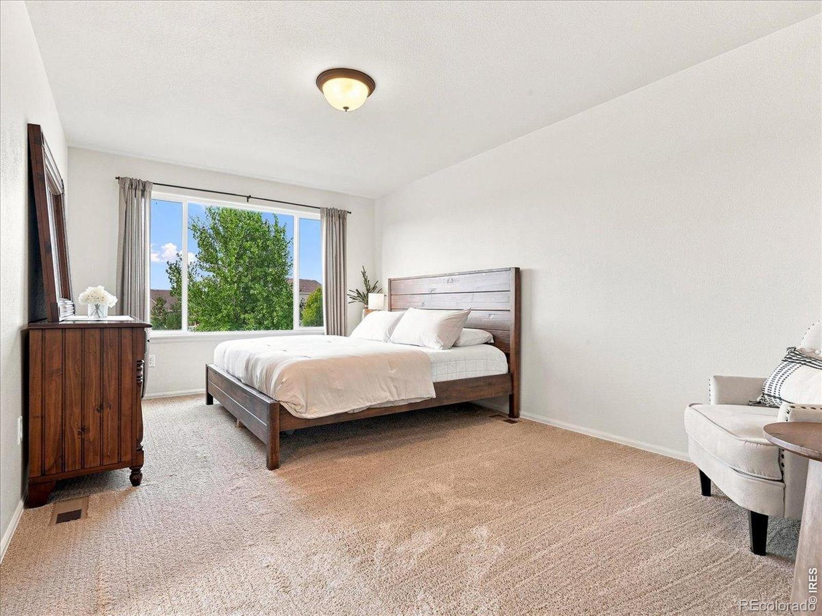 MLS Image #18 for 246  castle drive,severance, Colorado