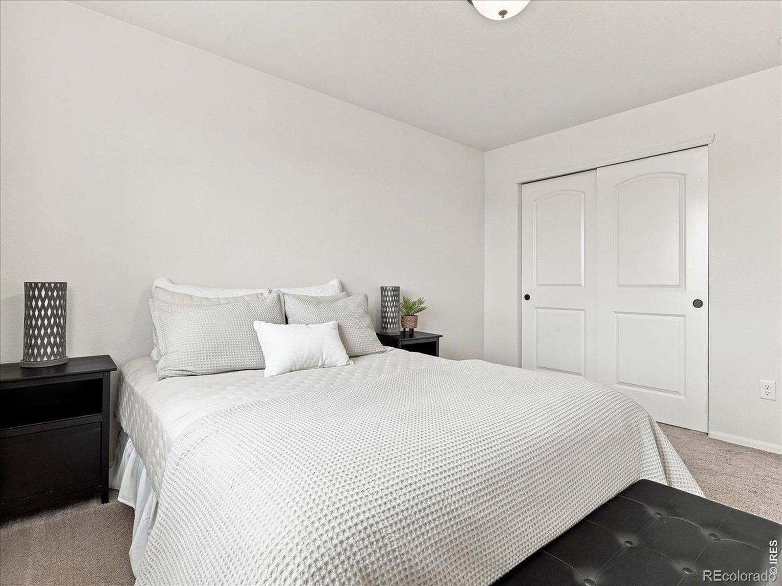 MLS Image #29 for 246  castle drive,severance, Colorado