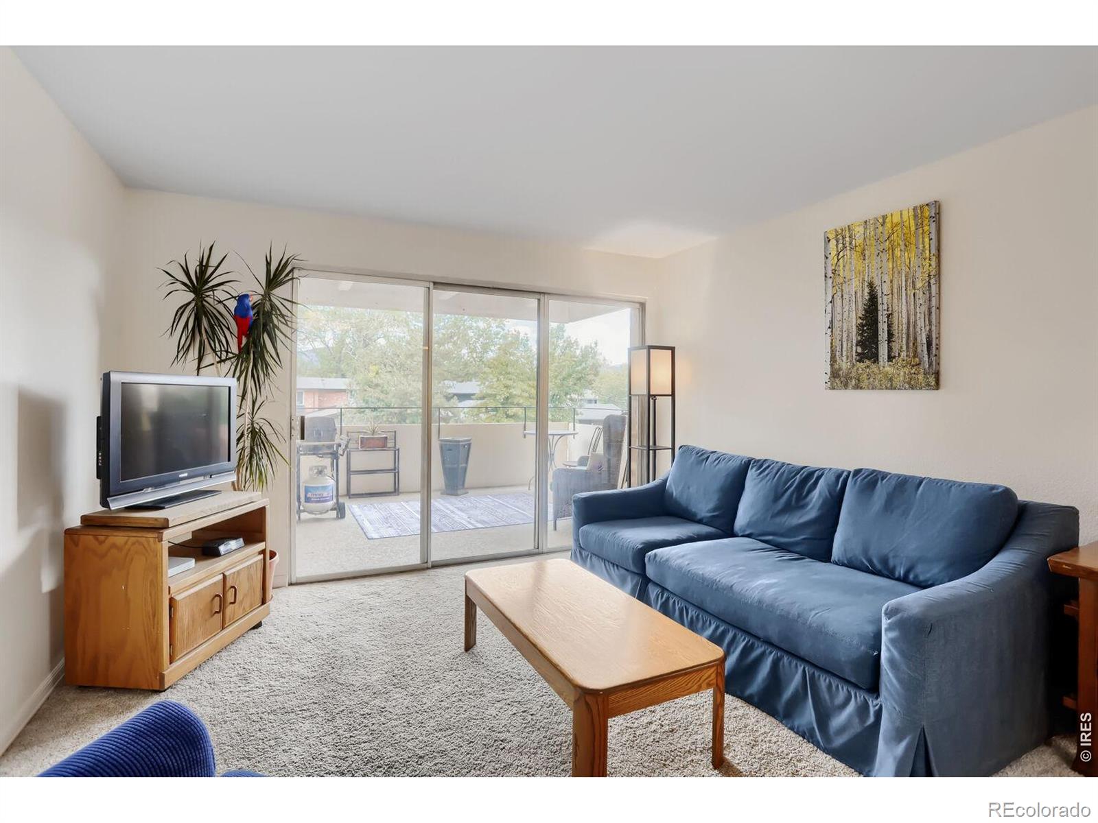 MLS Image #5 for 500  mohawk drive,boulder, Colorado