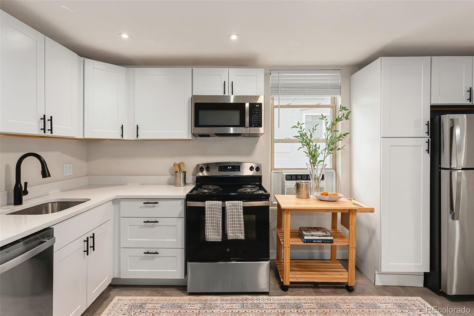 MLS Image #9 for 223 n pearl street,denver, Colorado