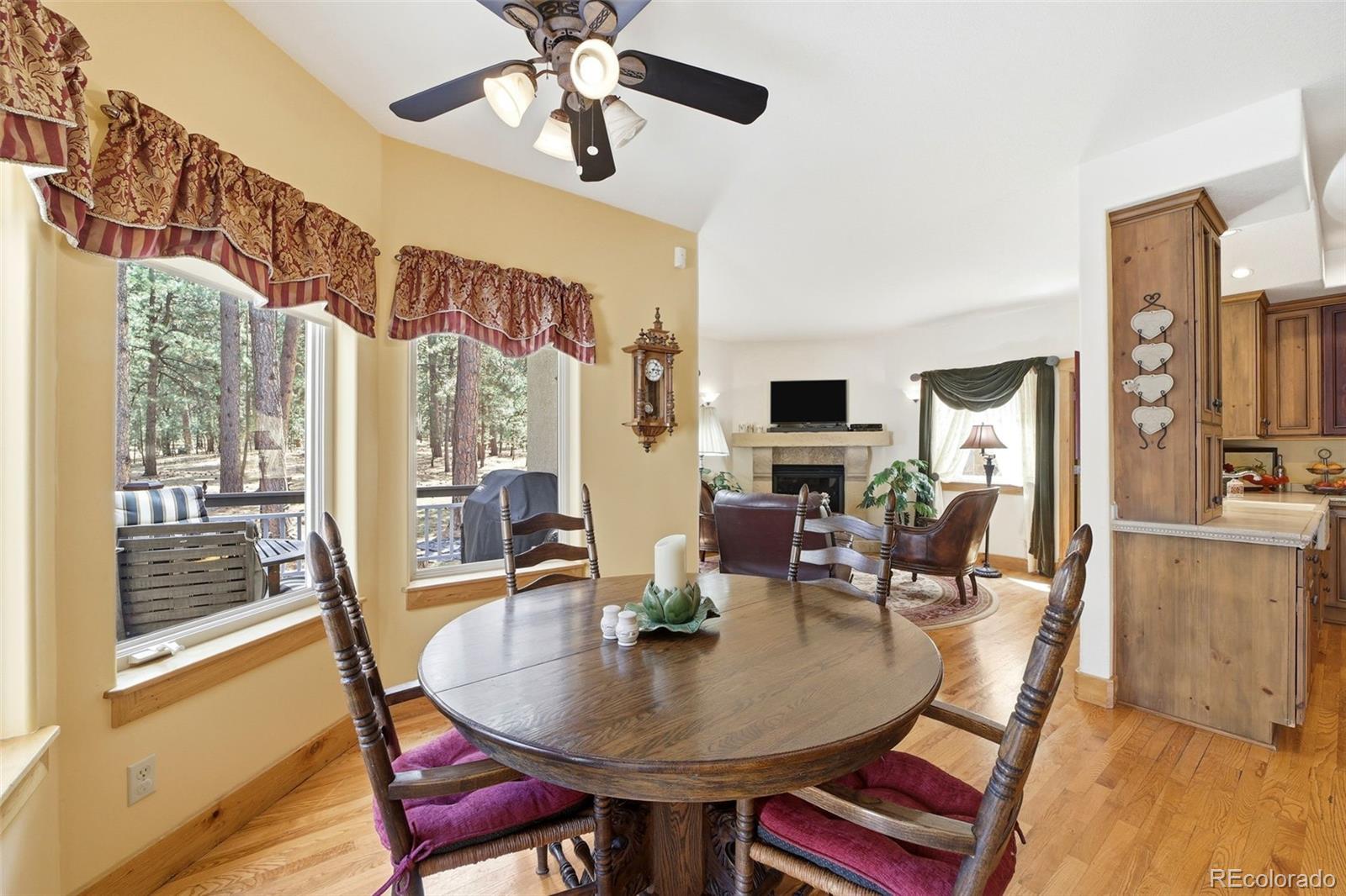 MLS Image #19 for 20175  wissler ranch road,colorado springs, Colorado
