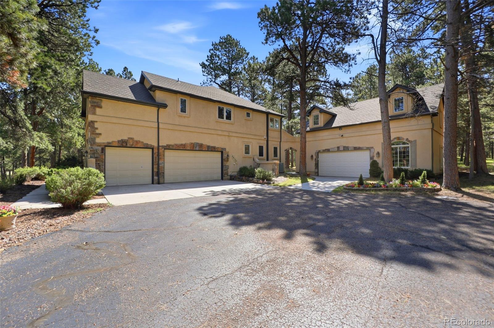 MLS Image #2 for 20175  wissler ranch road,colorado springs, Colorado