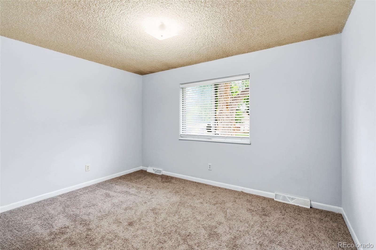 MLS Image #19 for 541  sycamore drive,windsor, Colorado