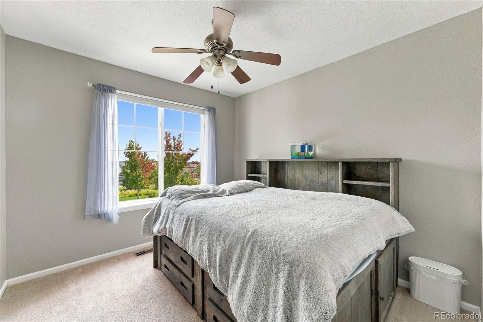 MLS Image #19 for 6688  myrtle creek drive,colorado springs, Colorado